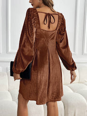 Adrenia Pleated Velvet Midi Dress - brown