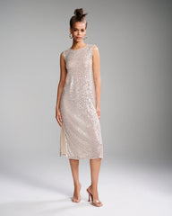 Sequin Mesh Midi Dress